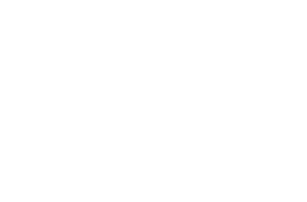 Numenor Valar — hodowla Welsh Corgi Pembroke w Gdańsku